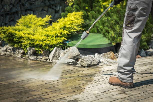 Best Sidewalk and Walkway Cleaning  in Pinellas Park, FL