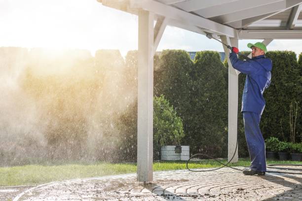 Best Roof Washing  in Pinellas Park, FL